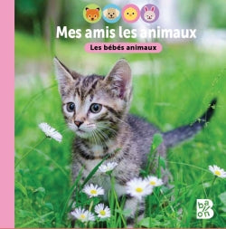 Les bébés animaux - imagier