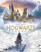 Hogwarts Legacy - The Coloring Book