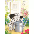 C-t 260 anatolian naughty dalmatian