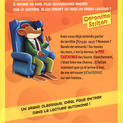 The Pirate Cat Galleon Geronimo Stilton 