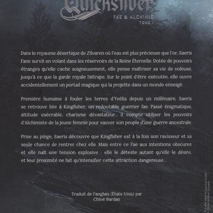 Quick Silver - Édition brochée Fae et alchimie - Tome 1