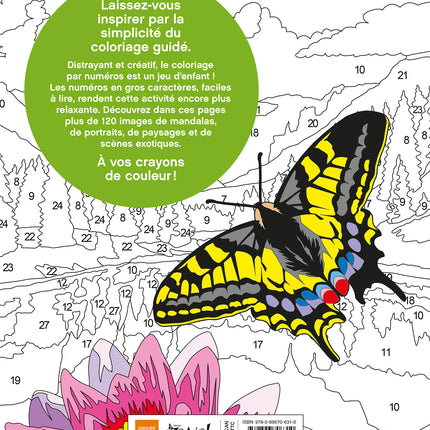 Grand livre de coloriage par numéros - Zen