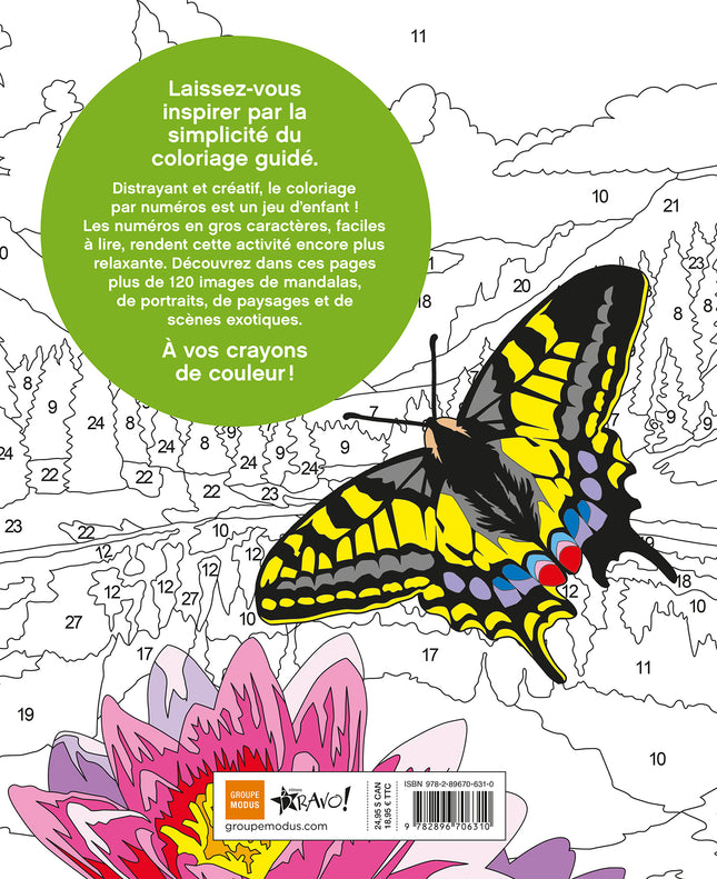 Grand livre de coloriage par numéros - Zen