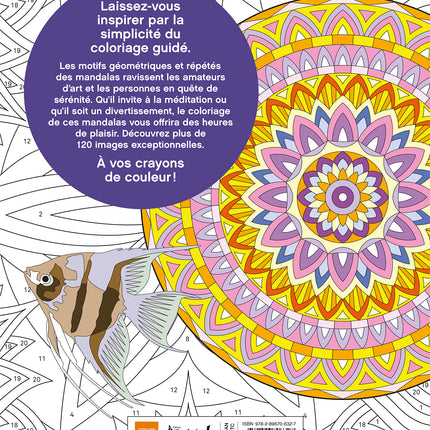Grand livre coloriage par numéros - Mandalas