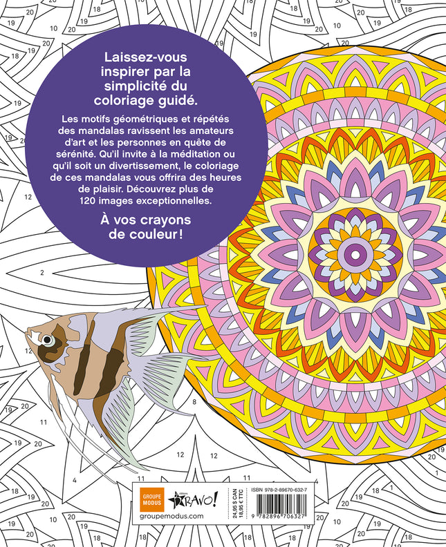 Grand livre coloriage par numéros - Mandalas