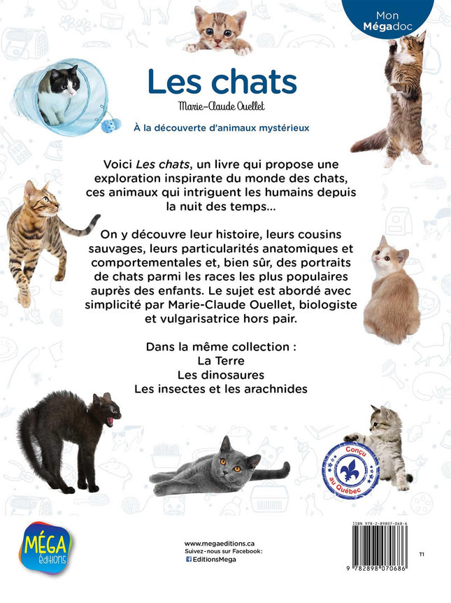 Les chats À la découverte d'animaux mystérieux