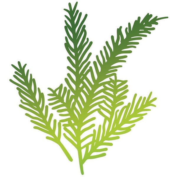 Ultimate Crafts - Hotfoil Stamp - Cardinal Feathers - ULT15833